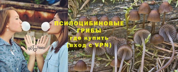 spice Покров