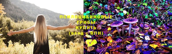 винт Покровск