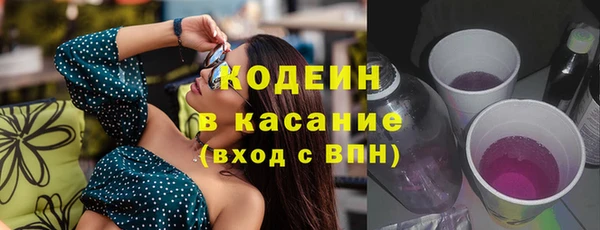 шишки Балахна